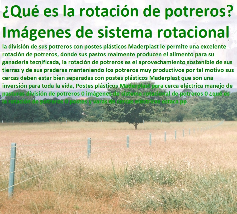 Postes plásticos Maderplast para cerca eléctrica manejo de pasturas división de potreros 0 imágenes de sistema rotacional de potreros 0 ¿qué es la rotación de potreros 0 postes y varas de cercas eléctricas estaca pp Postes plásticos Maderplast para cerca eléctrica manejo de pasturas división de potreros 0 imágenes de sistema rotacional de potreros 0 ¿qué es la rotación de potreros 0 postes y varas de cercas eléctricas estaca pp Postes plásticos Maderplast para cerca eléctrica manejo de pasturas división de potreros 0 imágenes de sistema rotacional de potreros 0 ¿qué es la rotación de potreros 0 postes y varas de cercas eléctricas estaca pp